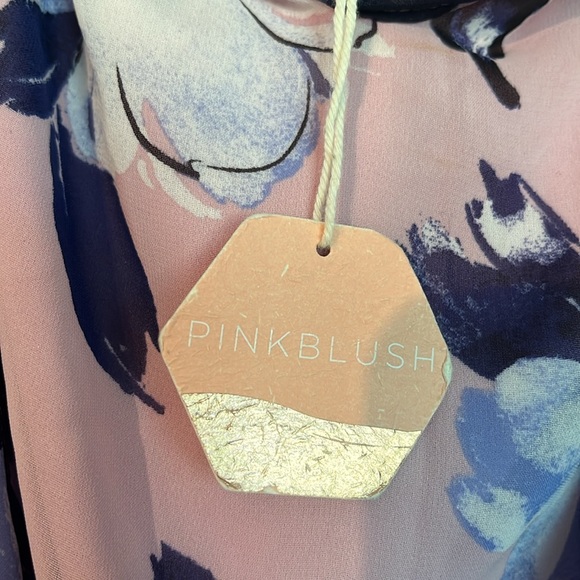 Pinkblush chiffon floor length dress - Picture 2 of 6